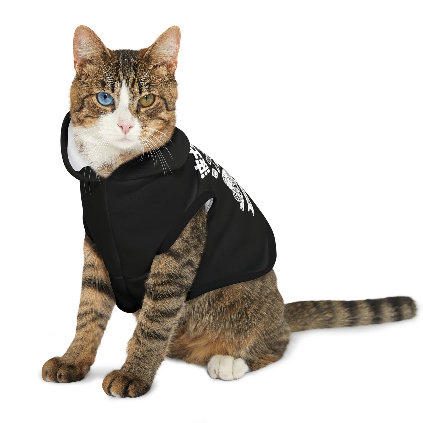 Boston Coffee Dog Hoodie